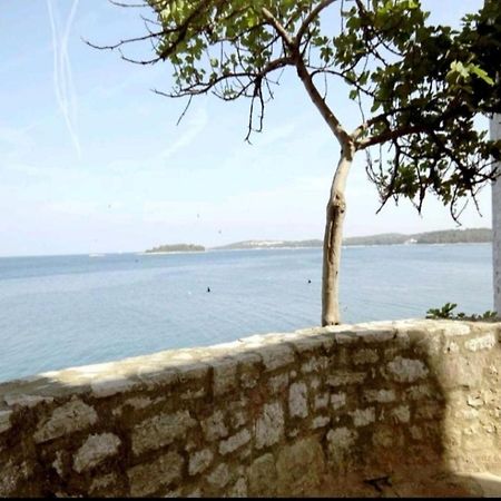 רוביני Apartment Giulio - 10Mt To The Beach מראה חיצוני תמונה