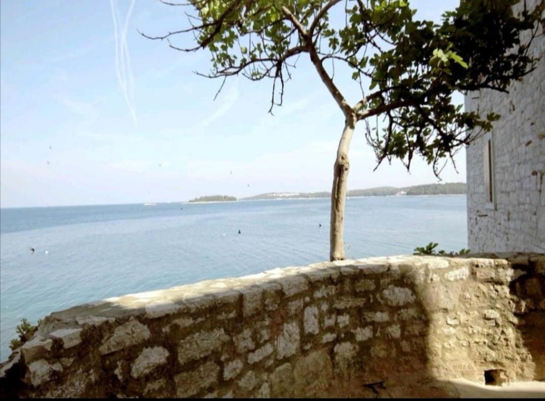 רוביני Apartment Giulio - 10Mt To The Beach מראה חיצוני תמונה